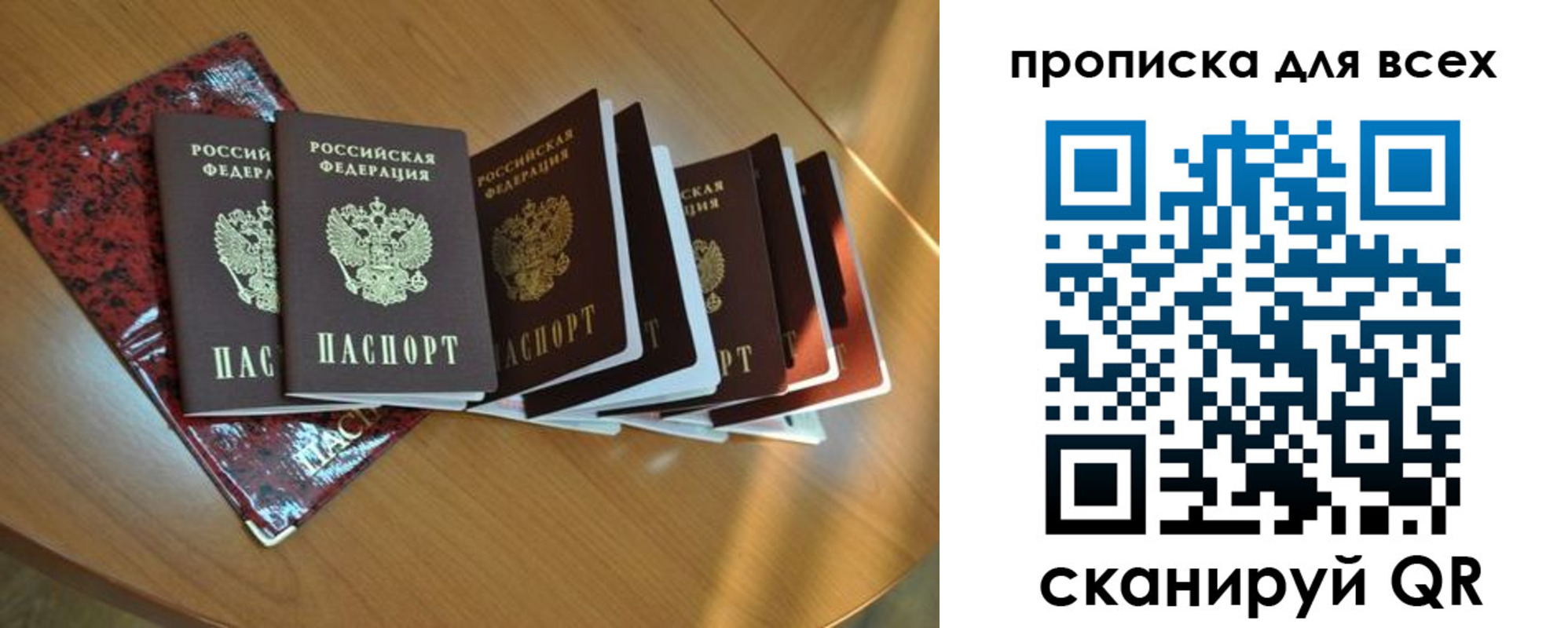 прописка для школы в Луге